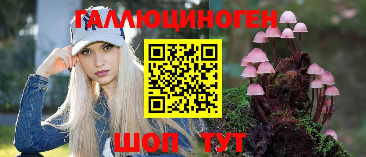 Галлюциногенные грибы Psilocybe  Вход с VPN  наркота  Киселёвск 